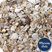 2118SSR - Coquina Beach Gravel